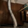 The Importance of Replacing Your Dryer Vent Hose