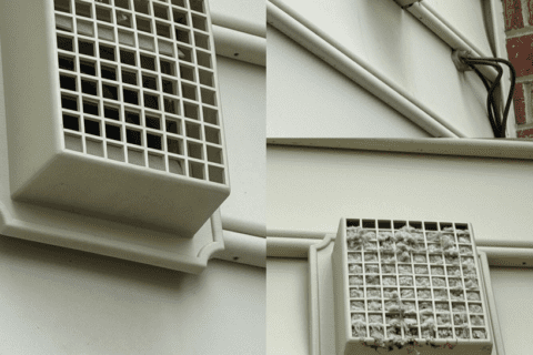 Bird Guard Installation and Bird Nest Removal